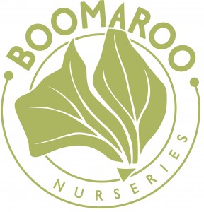 Boomaroo logo